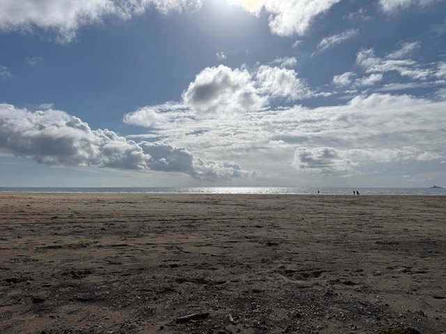 Swansea beach metal detecting
