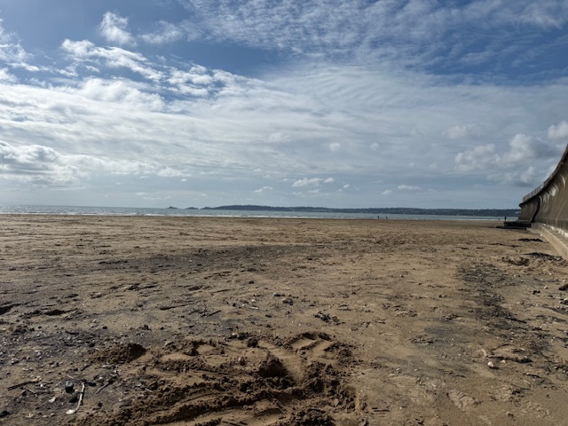 Swansea beach metal detecting