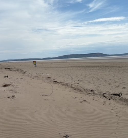 7AA53E06-A854-44AE-9EF6-E007F099F40A