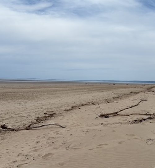 9C23A14A-6F1C-4501-B039-6CFEC273E2CD